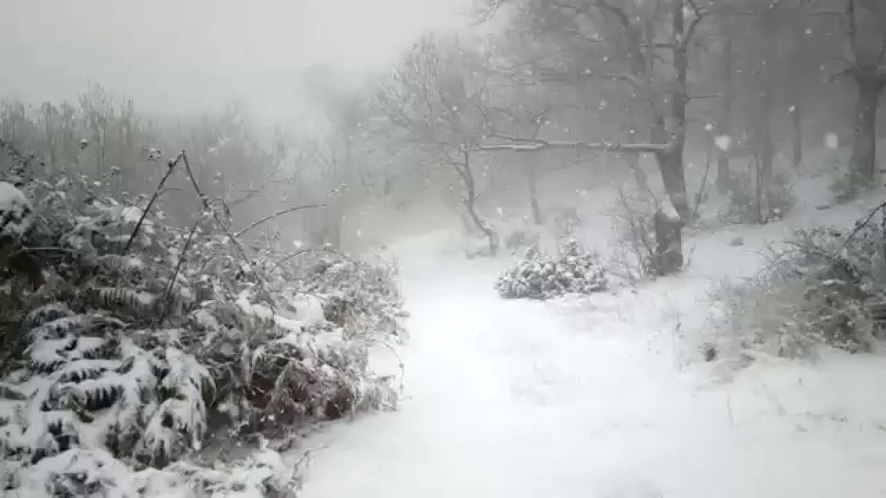 Χιονοπτώσεις: Προβλήματα στο οδικό δίκτυο – Πού απαιτούνται αλυσίδες – Βίντεο από τις χιονισμένες περιοχές